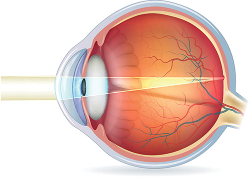 Human eye cross section, normal vision